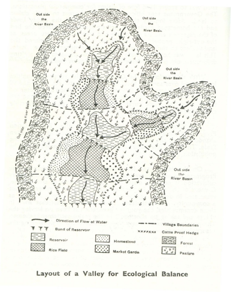 Ecological zones of a small tank