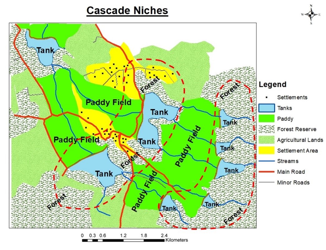 A Selected Tank Cascade Niches in the Middle Yan Oya Basin